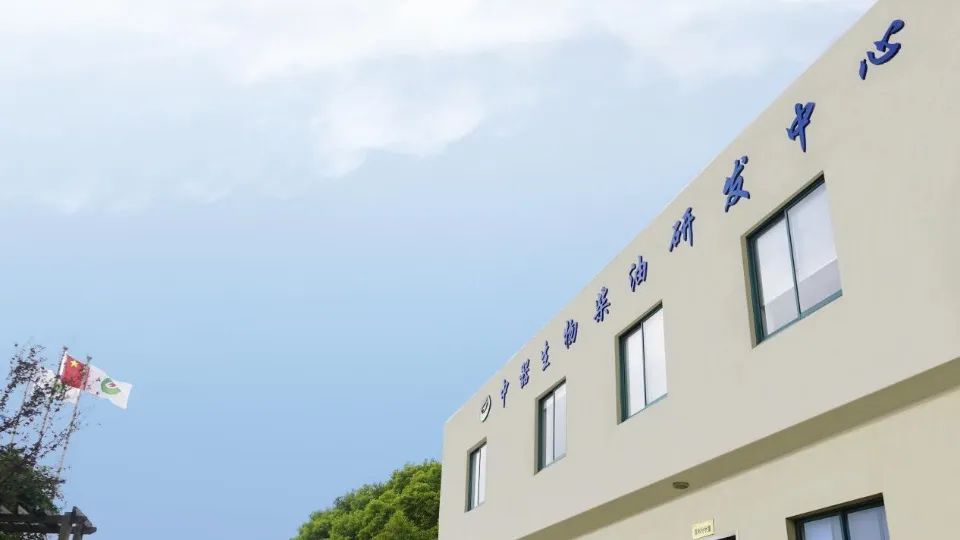 1702877883151897.jpg 2.jpg